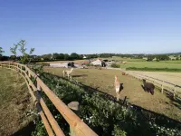 Heron Lodge Castle Farm فنادق في Sedgemoor