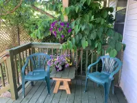 Micosta Leisure Inn - breakfast