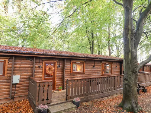 Leafy Hollow Lodge