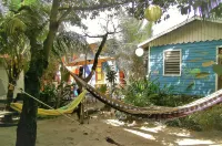 더 펑키 도도 백패커스 호스텔  호텔