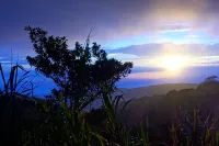 카사 알키미아 아르테스