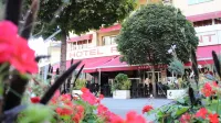 Elite Hotels in Visp