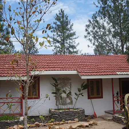 Pine Ridge Lodge