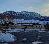 Lost Pines Guesthouse - Beautiful views and only 5 minutes to Yellowstone Park
