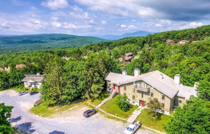 Ski-in/Ski-Out Bromley Mtn Condo: Wood Fireplace!
