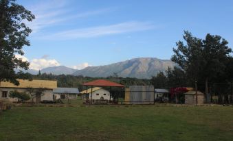 Singaras Coffee Country