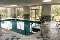Hampton Inn & Suites Leesburg - Pools