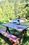 Cabin Steps from Mt. Rainier Park