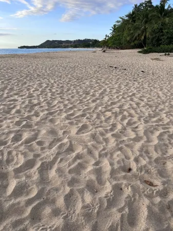 TURQUESA del MAR, private tropical oasis just steps to beach and town center!