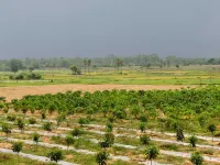 Aranya Bithi