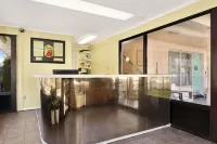 Royal Palace Inn and Suites Myrtle Beach Ocean Blvd