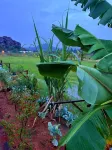 Oshos Organic Resort Hampi - 2 estrellas