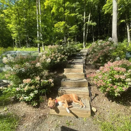 Custom-built Tiny House on forested lot near Quechee