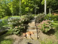 Custom-built Tiny House on forested lot near Quechee