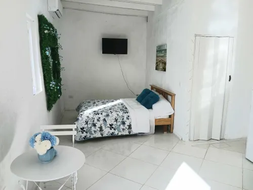 Charming & Cozy 1-bedroom apartment in Noord with Plunge pool, WiFi & AC