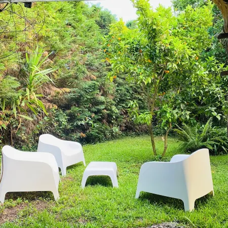 QUINTA DE RIBAS - Les Bougainvilliers charming house for families or groups Отели в г. Амаранте