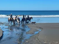 2 bedroom 2 bath condo on Pacific Ocean, steps from a pool, close to surfing. Hotels in Playa Azul