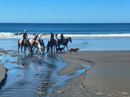 2 bedroom 2 bath condo on Pacific Ocean, steps from a pool, close to surfing. Отели в г. Плайя Асуль