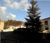 Happy group or large family holiday - Free Wifi Hotels in Felgueiras