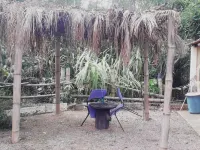 Country house, farm with swimming pool, barbecue, quiet place for family business