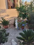 Cozy studio apartment in the middle of a large garden. Have dogs. Hôtels à proximité de : Sani Beach