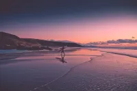 Garden apartment - Tierra - Surf & Yoga Villa