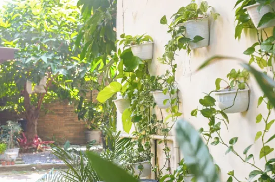 Omah Ralin Family Homestay with Spacious Joglo House