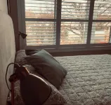 Central Orange Idyll