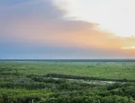 Distrito Puerto - Ocean & Mangrove Views