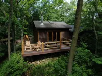 Hugel Hutte - Cozy cabin nestled in woods - Feels like a TreeHouse