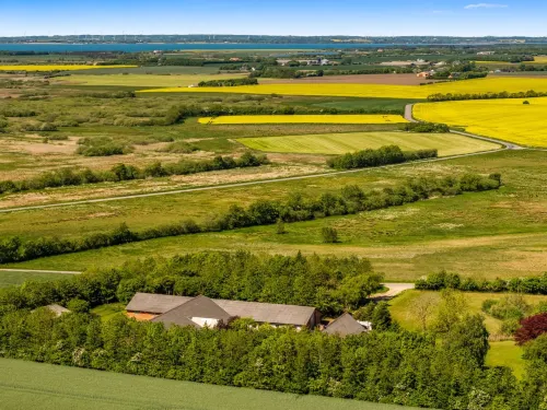 "Elia" - 5km to the Fjord Hotels in Spottrup