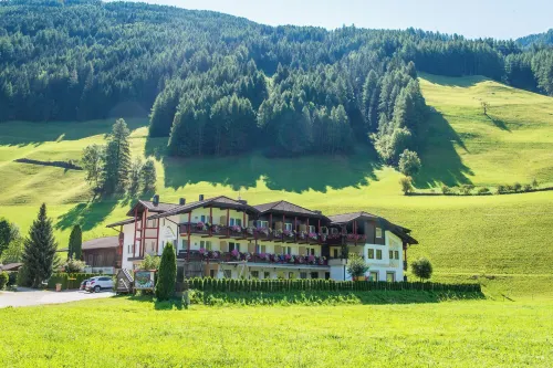 Hotel Stegerhaus - Mountain view
