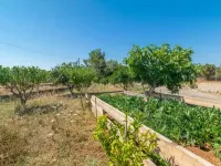 Sa Raconada - Country House In Algaida. Free Wifi 阿爾蓋達酒店
