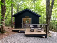 Family Bunk Cabin - Can't Bear To Leave