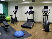 Holiday Inn Express DURHAM - (UNH) by IHG Hotels in Strafford County