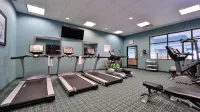 Holiday Inn & Suites EDMONTON ARPT - CONFERENCE CTR by IHG - Gym