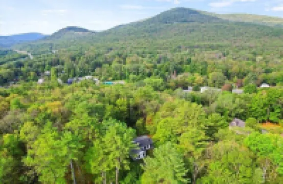 Pet friendly, private, clean, perfect Lake George location