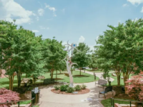 โรงแรม ดิ เอสไควร์ ดาวน์ทาวน์ แกสโตเนีย, แอน แอสเซนด์ คอลเลกชัน โฮเทล โรงแรมในแกสโตเนีย