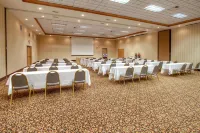 هامبتون إن بيلينجز فنادق في بيلينغز