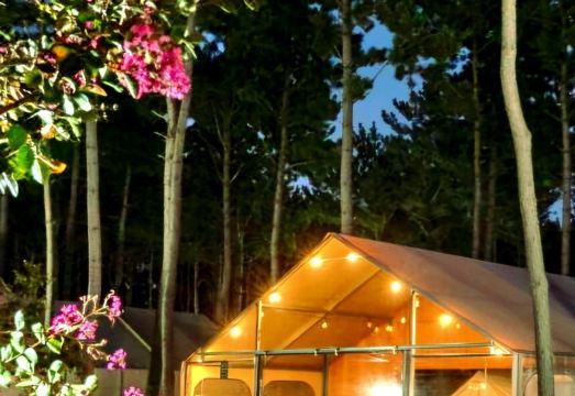 서산 글램핑 전경