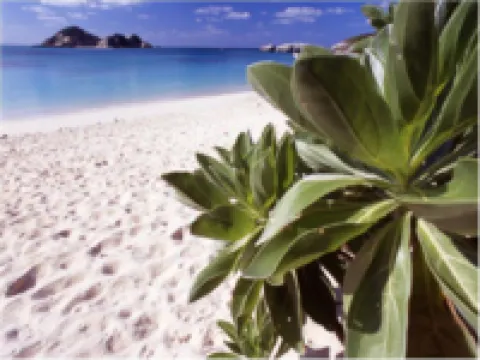 Reef Inn Kuniyoshi Hotels in Tokashiki