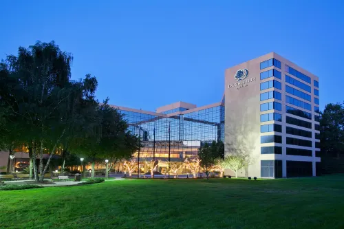 DoubleTree by Hilton Stamford - bar