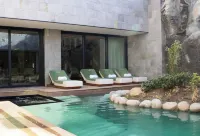 Hayashi Residence - spa
