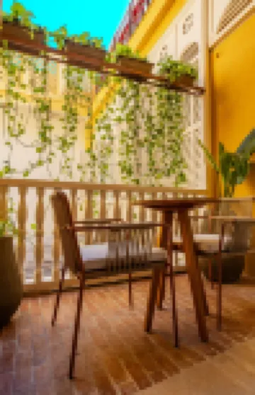 卡羅琳娜豪華健康酒店 酒店