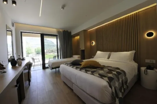 เทอร์รา วีนุม