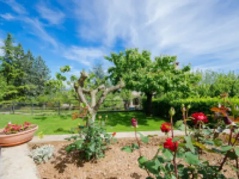 Apartments Sime Hotels in Kuceli