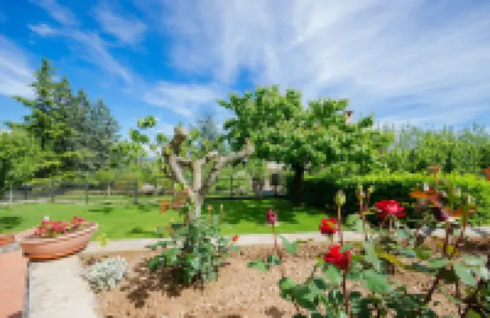 Apartments Sime
