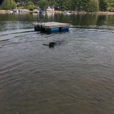 Sebago Lake Lodge & Cottages
