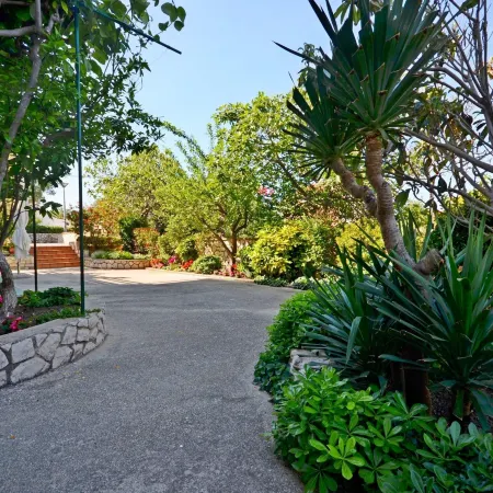 Apartments and Rooms Nada