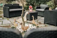 Locanda Dell'Oca Bianca